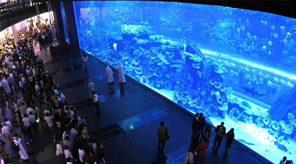 Dubai Aquarium